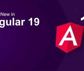 https://www.virtualcoders.net/blog/angular-19-new-features-and-updates/